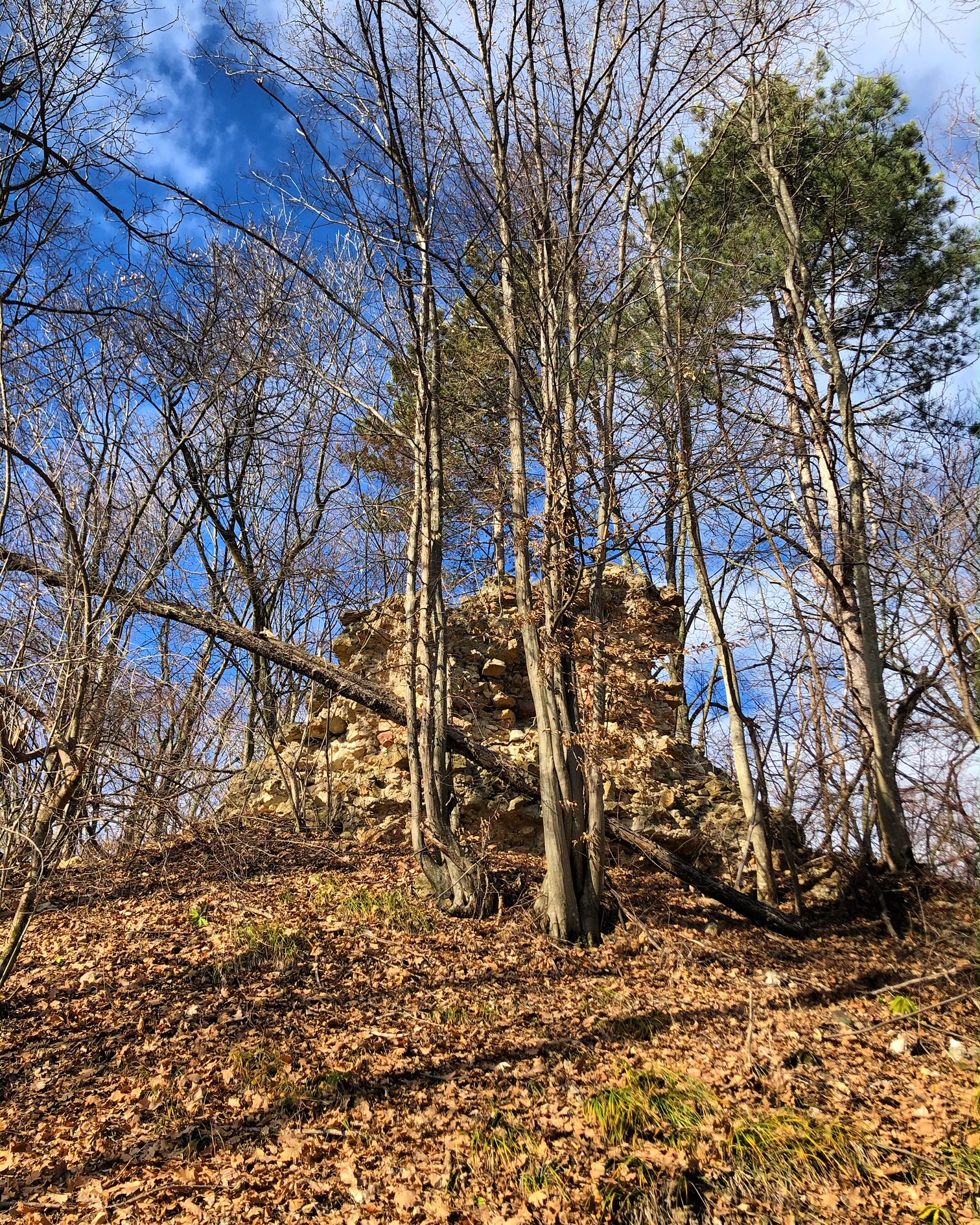 Visit Požega | Požega