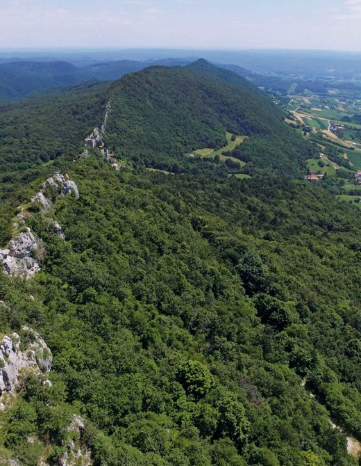 Križevci