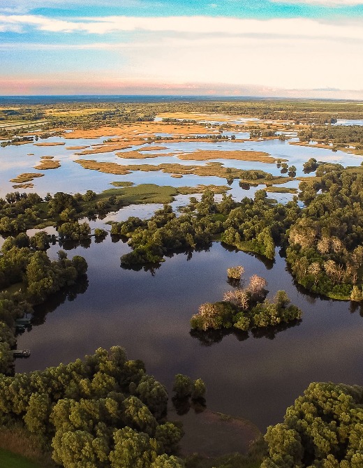 Kopački rit Nature Park - a swamp near Osijek - Croatia