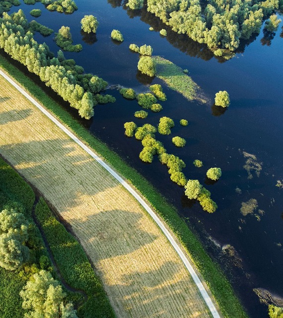Kopački rit Nature Park - a swamp near Osijek - Croatia